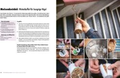 Projekte Zum Anpacken -Pflanzensamen Rabatt loewenzahn verlag projekte zum anpacken 1679721 de