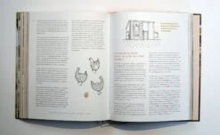 Selbstversorgung -Pflanzensamen Rabatt loewenzahn verlag selbstversorgung 1 k 1325976 de