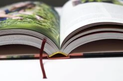 Selbstversorgung -Pflanzensamen Rabatt loewenzahn verlag selbstversorgung 1 k 1325997 de