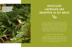 Spür Den Wald -Pflanzensamen Rabatt loewenzahn verlag spuer den wald 1 st 1671988 de