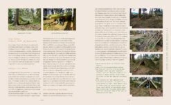 Spür Den Wald -Pflanzensamen Rabatt loewenzahn verlag spuer den wald 1 st 1671991 de