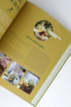 Spür Den Wald -Pflanzensamen Rabatt loewenzahn verlag spuer den wald 1 stk 830256 de