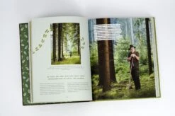Spür Den Wald -Pflanzensamen Rabatt loewenzahn verlag spuer den wald 1326998 de