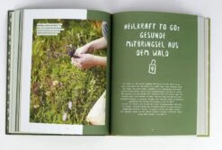 Spür Den Wald -Pflanzensamen Rabatt loewenzahn verlag spuer den wald 1327005 de