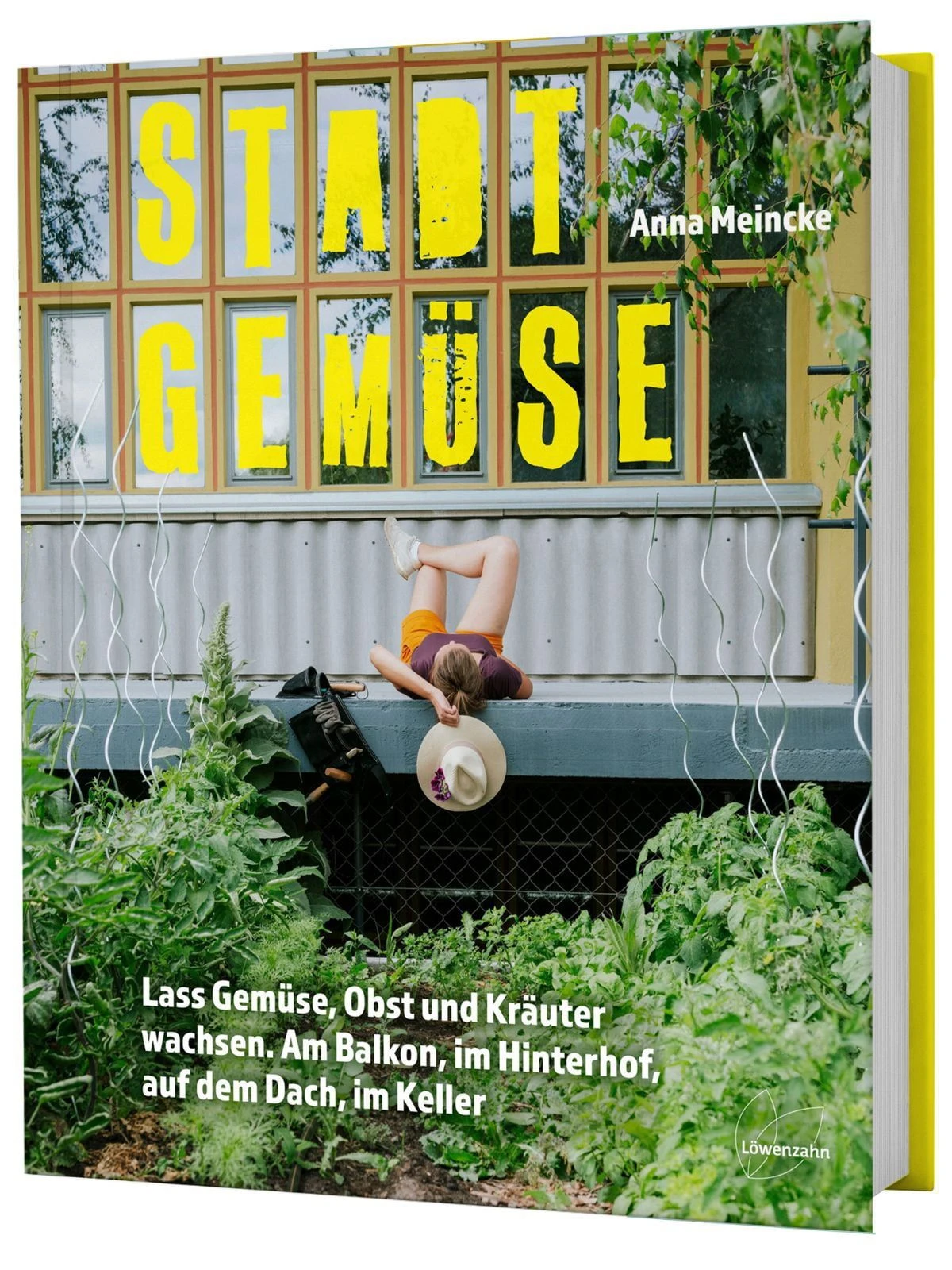 Stadtgemüse 3 Stadtgemüse