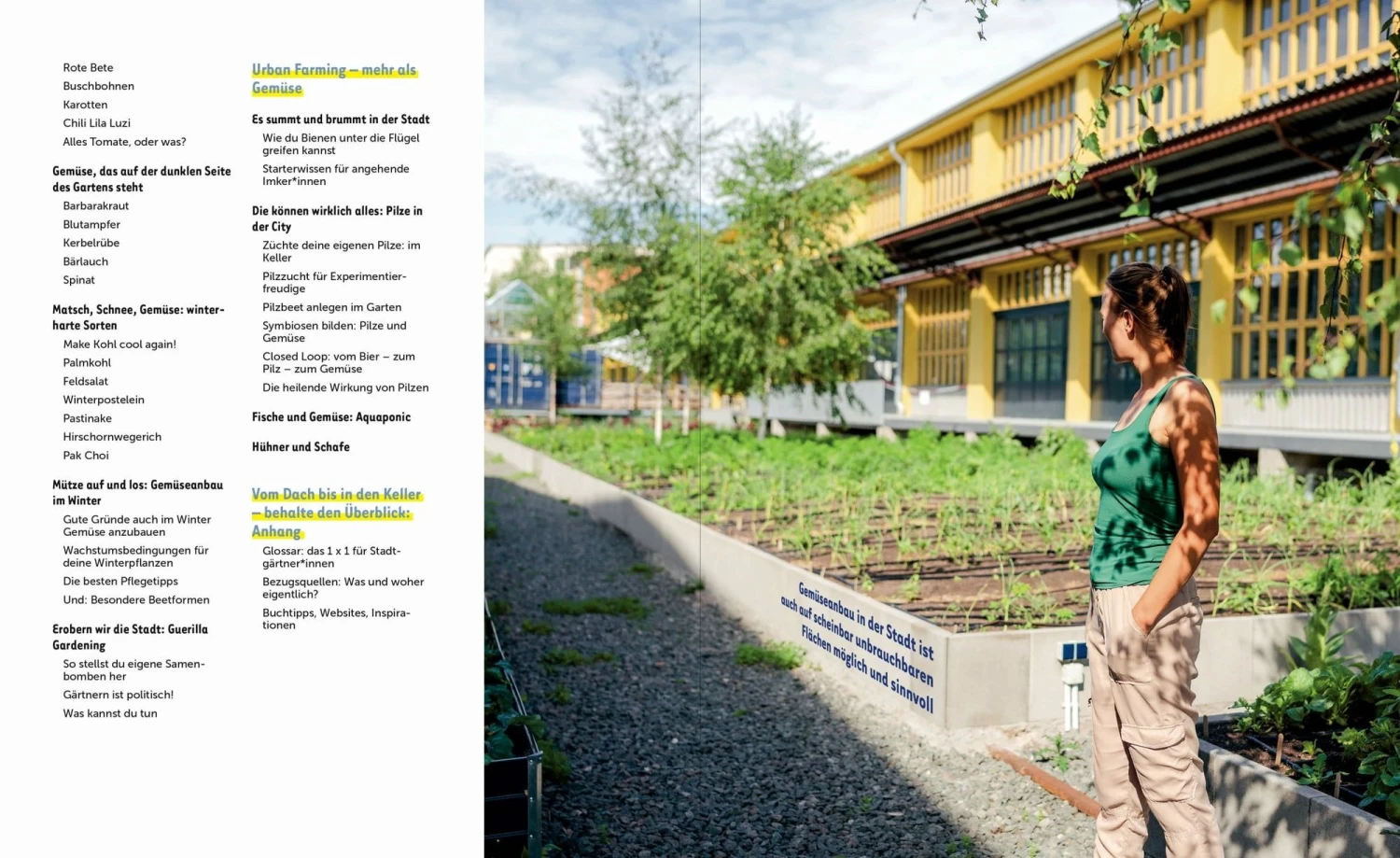 Stadtgemüse 9 Stadtgemüse – Bild 7