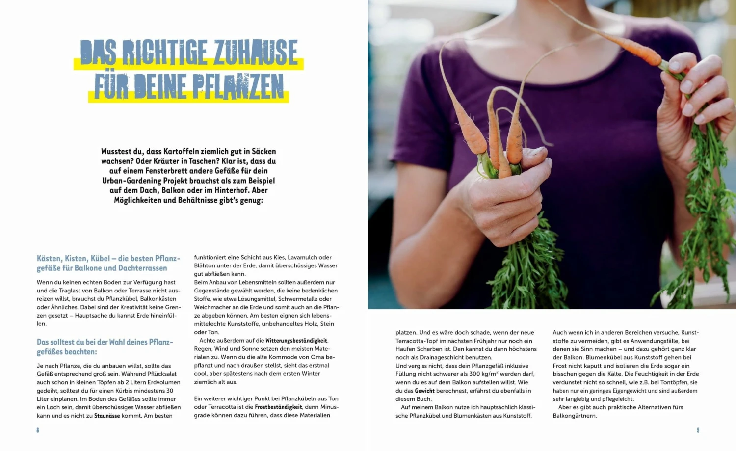 Stadtgemüse 6 Stadtgemüse – Bild 4