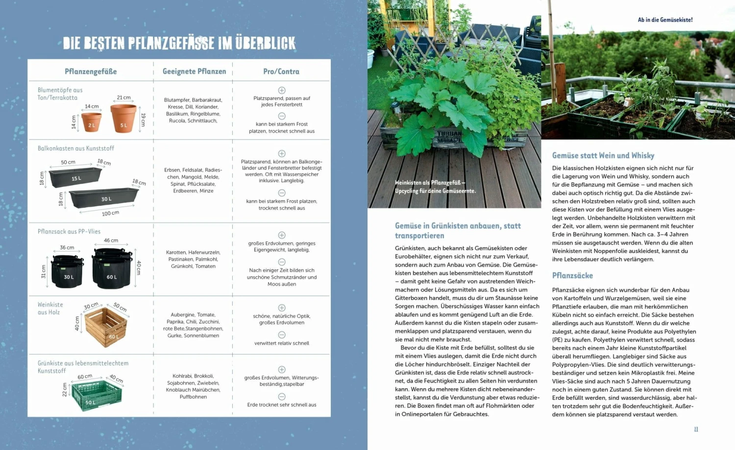 Stadtgemüse 4 Stadtgemüse – Bild 2