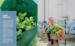 Stadtgemüse 14 Stadtgemüse -Pflanzensamen Rabatt loewenzahn verlag stadtgemuese 1452939 de