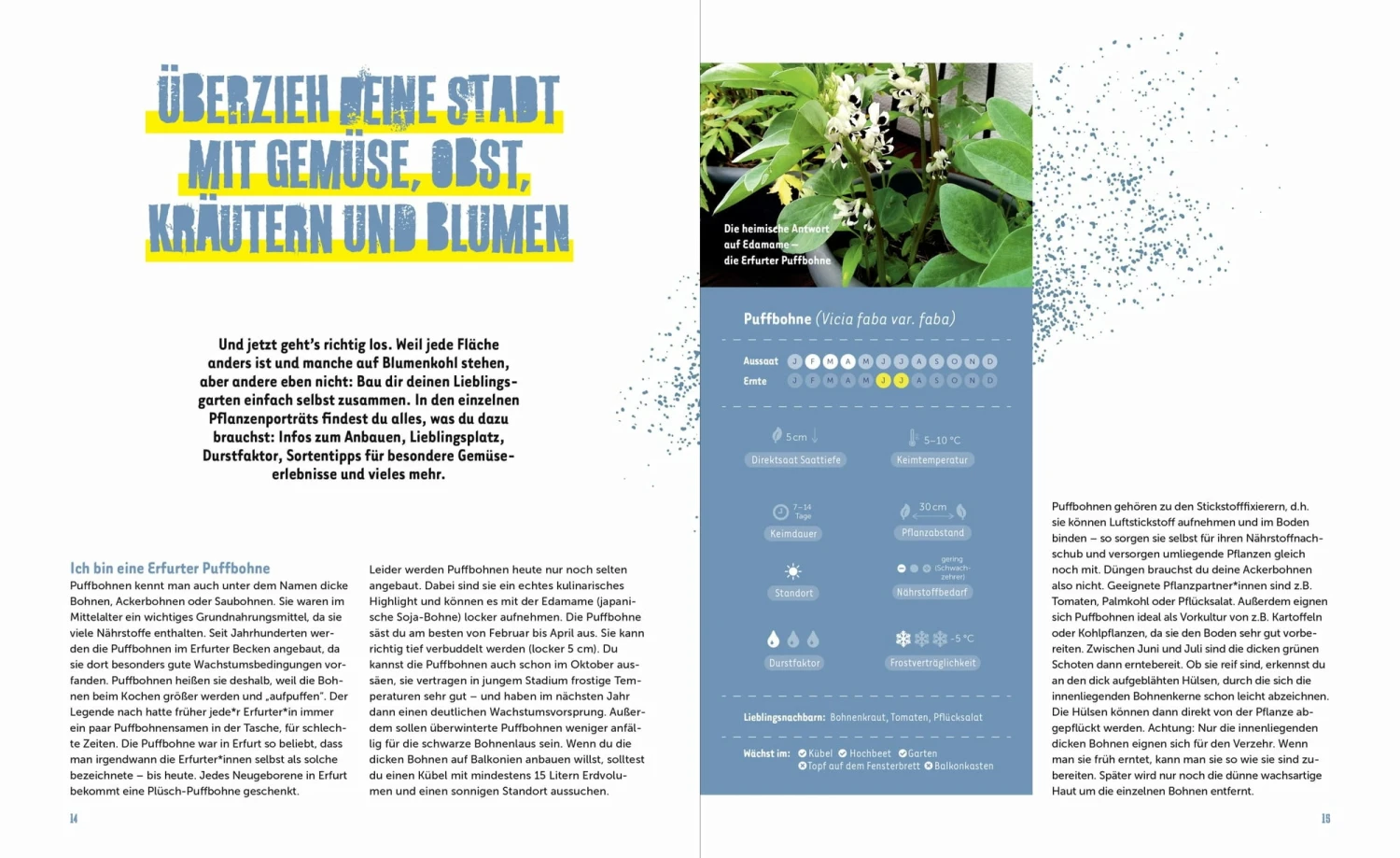 Stadtgemüse 10 Stadtgemüse – Bild 8
