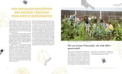 Wer Knabbert Da An Meinem Gemüse? -Pflanzensamen Rabatt loewenzahn verlag wer knabbert da an meinem gemuese 1 st 1675745 de