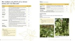 Wer Knabbert Da An Meinem Gemüse? -Pflanzensamen Rabatt loewenzahn verlag wer knabbert da an meinem gemuese 1 st 1675752 de