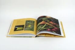 Wer Knabbert Da An Meinem Gemüse? -Pflanzensamen Rabatt loewenzahn verlag wer knabbert da an meinem gemuese 1327257 de