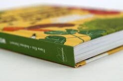 Wer Knabbert Da An Meinem Gemüse? -Pflanzensamen Rabatt loewenzahn verlag wer knabbert da an meinem gemuese 1327271 de