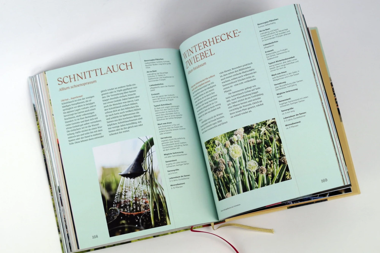 Wie Du Dein Eigenes Saatgut Gewinnst 11 Wie Du Dein Eigenes Saatgut Gewinnst – Bild 9