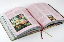 Wie Du Dein Eigenes Saatgut Gewinnst 23 Wie Du Dein Eigenes Saatgut Gewinnst -Pflanzensamen Rabatt loewenzahn verlag wie du dein eigenes saatgut gewinnst 1 k 1326059 de