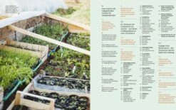 Wie Du Dein Eigenes Saatgut Gewinnst 22 Wie Du Dein Eigenes Saatgut Gewinnst -Pflanzensamen Rabatt loewenzahn verlag wie du dein eigenes saatgut gewinnst 1 st 1674809 de