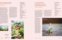 Wie Du Dein Eigenes Saatgut Gewinnst 16 Wie Du Dein Eigenes Saatgut Gewinnst -Pflanzensamen Rabatt loewenzahn verlag wie du dein eigenes saatgut gewinnst 1 st 1674814 de