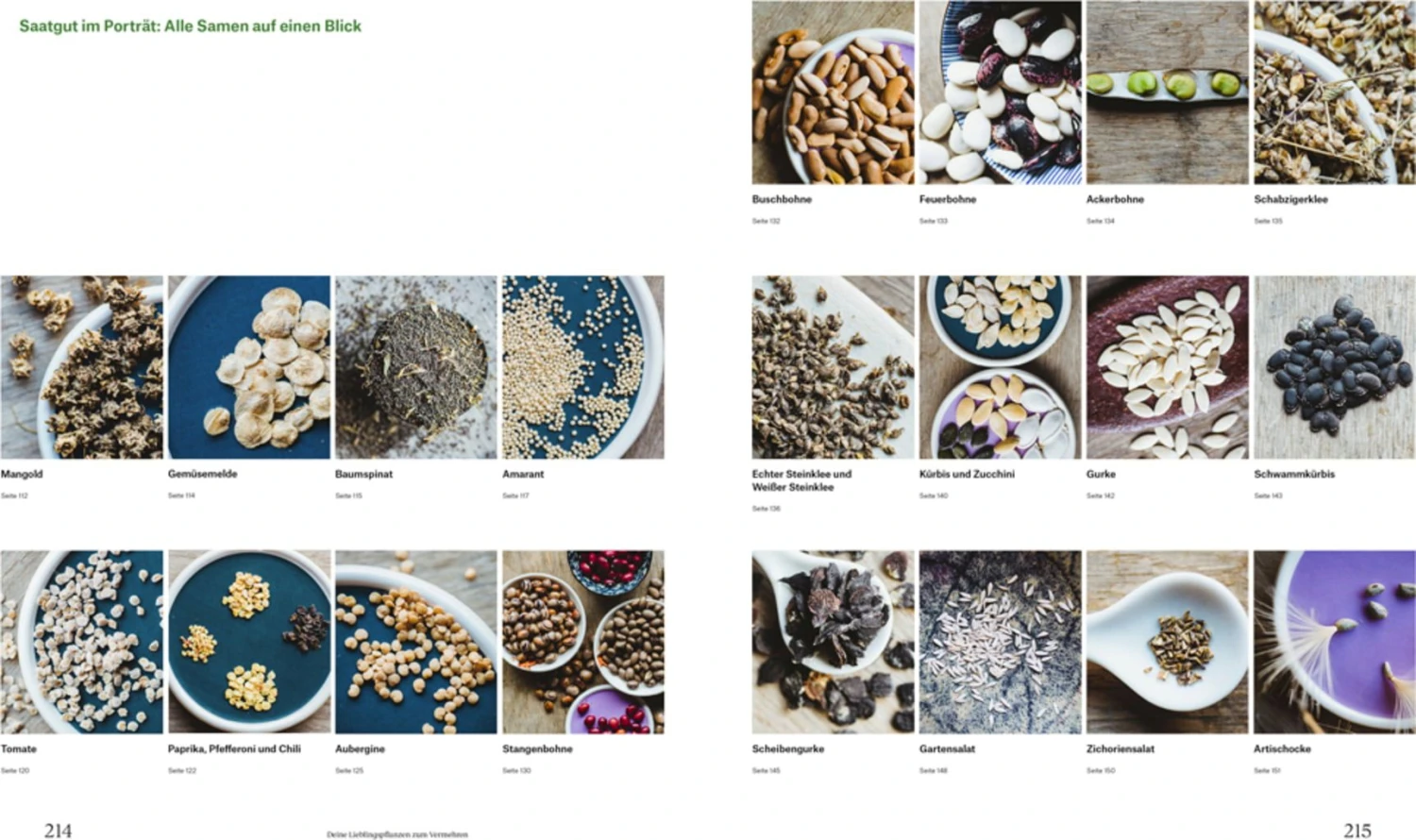 Wie Du Dein Eigenes Saatgut Gewinnst 7 Wie Du Dein Eigenes Saatgut Gewinnst – Bild 5