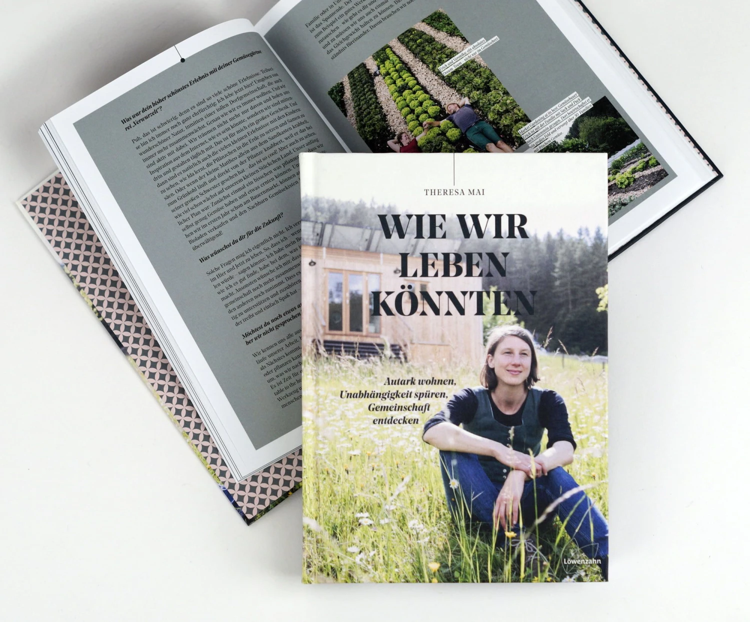 Wie Wir Leben Könnten 5 Wie Wir Leben Könnten – Bild 3