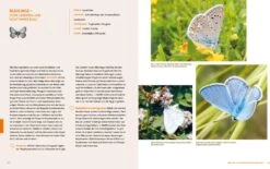 Wo Die Wilden Nützlinge Wohnen -Pflanzensamen Rabatt loewenzahn verlag wo die wilden nuetzlinge wohnen 1 st 1672004 de