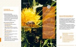 Wo Die Wilden Nützlinge Wohnen -Pflanzensamen Rabatt loewenzahn verlag wo die wilden nuetzlinge wohnen 1 st 1672005 de