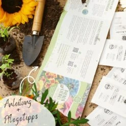 Bio Bienen Blumensamen Set 11 Bio Bienen Blumensamen Set -Pflanzensamen Rabatt loveplants bio bienen blumensamen set 1546725 de