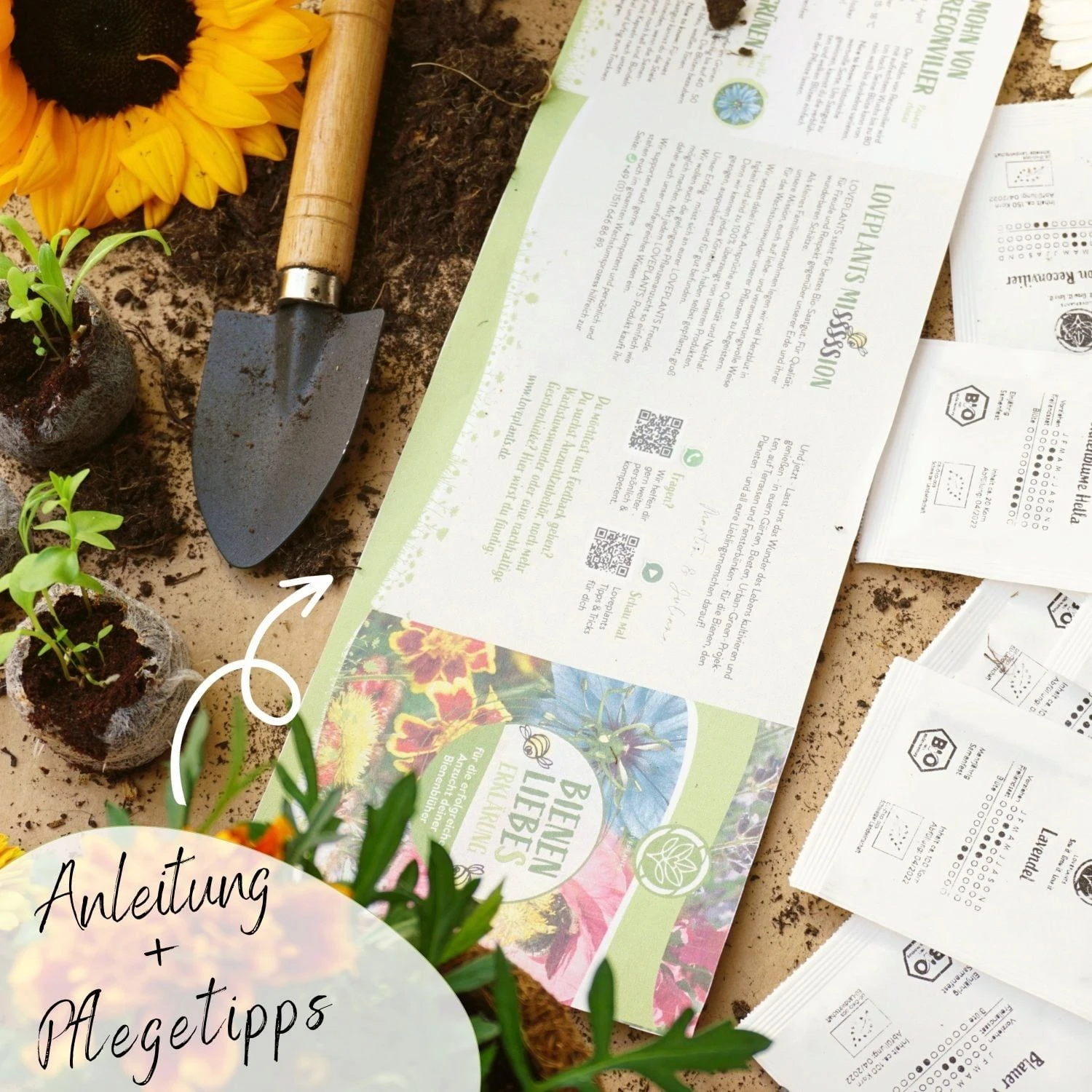 Bio Bienen Blumensamen Set 5 Bio Bienen Blumensamen Set – Bild 3