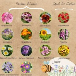 Bio Blumensamen Set 14 Bio Blumensamen Set -Pflanzensamen Rabatt loveplants bio blumensamen set 1546651 de