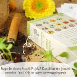 Bio Blumensamen Set 12 Bio Blumensamen Set -Pflanzensamen Rabatt loveplants bio blumensamen set 1546659 de