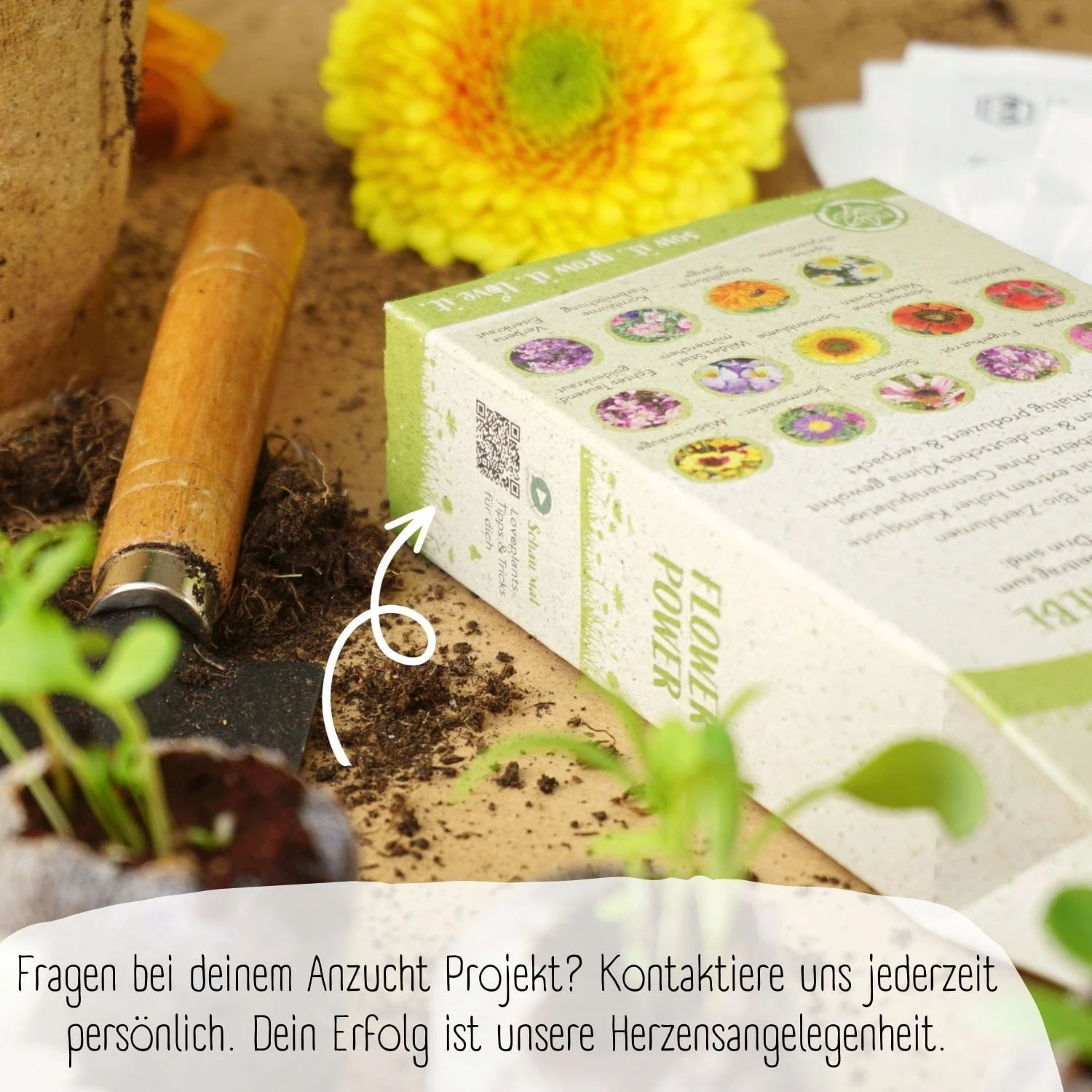 Bio Blumensamen Set 6 Bio Blumensamen Set – Bild 4