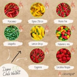Bio Chili Samen Set -Pflanzensamen Rabatt loveplants bio chili samen set 1546569 de