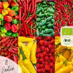 Bio Chili Samen Set -Pflanzensamen Rabatt loveplants bio chili samen set 1546577 de