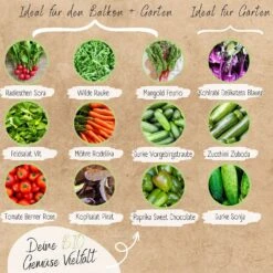 Bio Gemüsesamen Set 10 Bio Gemüsesamen Set -Pflanzensamen Rabatt loveplants bio gemuesesamen set 1546969 de