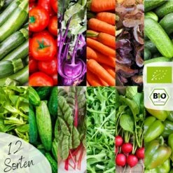Bio Gemüsesamen Set 9 Bio Gemüsesamen Set -Pflanzensamen Rabatt loveplants bio gemuesesamen set 1546973 de