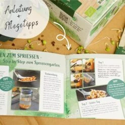 Bio Keimsprossen Samen Set -Pflanzensamen Rabatt loveplants bio keimsprossen samen set 1546785 de