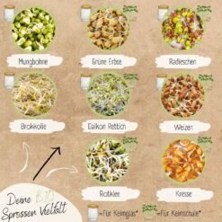 Bio Keimsprossen Samen Set -Pflanzensamen Rabatt loveplants bio keimsprossen samen set 1546789 de