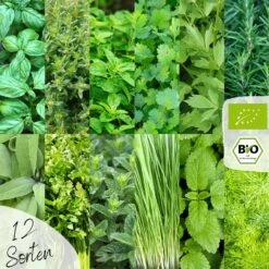 Bio Kräutersamen Set 11 Bio Kräutersamen Set -Pflanzensamen Rabatt loveplants bio kraeutersamen set 1546993 de