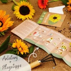 Bio Sonnenblumen Samen Set -Pflanzensamen Rabatt loveplants bio sonnenblumen samen set 1682931 de