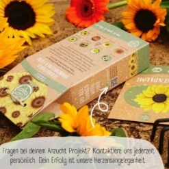 Bio Sonnenblumen Samen Set -Pflanzensamen Rabatt loveplants bio sonnenblumen samen set 1682932 de