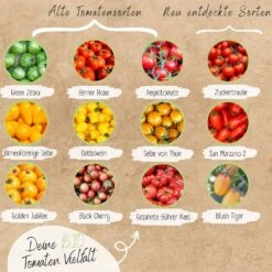 Bio Tomatensamen Set -Pflanzensamen Rabatt loveplants bio tomatensamen set 1546919 de