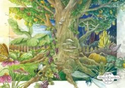 Bio Alte Historische Gemüsesorten - Samenset, Samenset -Pflanzensamen Rabatt magic garden seeds bio alte historische gemuesesorten samenset set semen 1678076 de