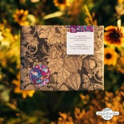 Bio Stauden & Sommerblumen - Samenset -Pflanzensamen Rabatt magic garden seeds bio stauden sommerblumen samenset 1436931 de