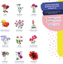 Blumensamen - Wild & Farbenfroh -Pflanzensamen Rabatt magic garden seeds blumensamen wild farbenfroh 1494769 de