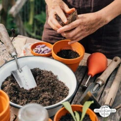 Bunte Alte Tomatensorten - Samenset 18 Bunte Alte Tomatensorten - Samenset -Pflanzensamen Rabatt magic garden seeds bunte alte tomatensorten samenset 1 set 1217646 de