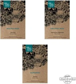 Duftende Wildrosen - Samenset -Pflanzensamen Rabatt magic garden seeds duftende wildrosen samenset 1680115 de