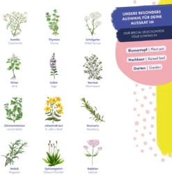 Heilkräutersamen -Pflanzensamen Rabatt magic garden seeds heilkraeutersamen 1494300 de