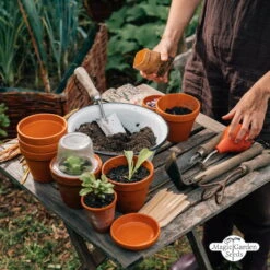 Hildegard Von Bingen: Klostergarten - Samenset -Pflanzensamen Rabatt magic garden seeds hildegard von bingen klostergarten samenset 1 set 1217200 de