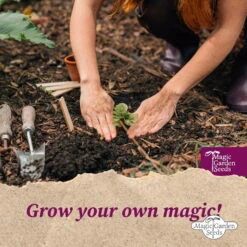 Permakultur - Samenset -Pflanzensamen Rabatt magic garden seeds permakultur samenset 1 set 1307093 de