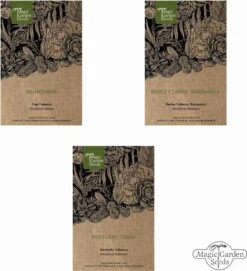 Tabak Vielfalt - Samenset 11 Tabak Vielfalt - Samenset -Pflanzensamen Rabatt magic garden seeds tabak vielfalt samenset 1436639 de
